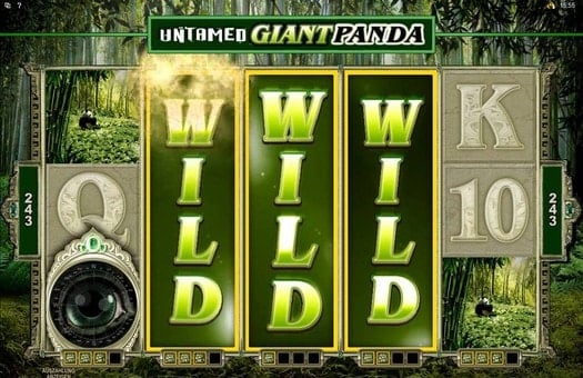 Выигрыш на линиях в автомате Untamed Giant Panda